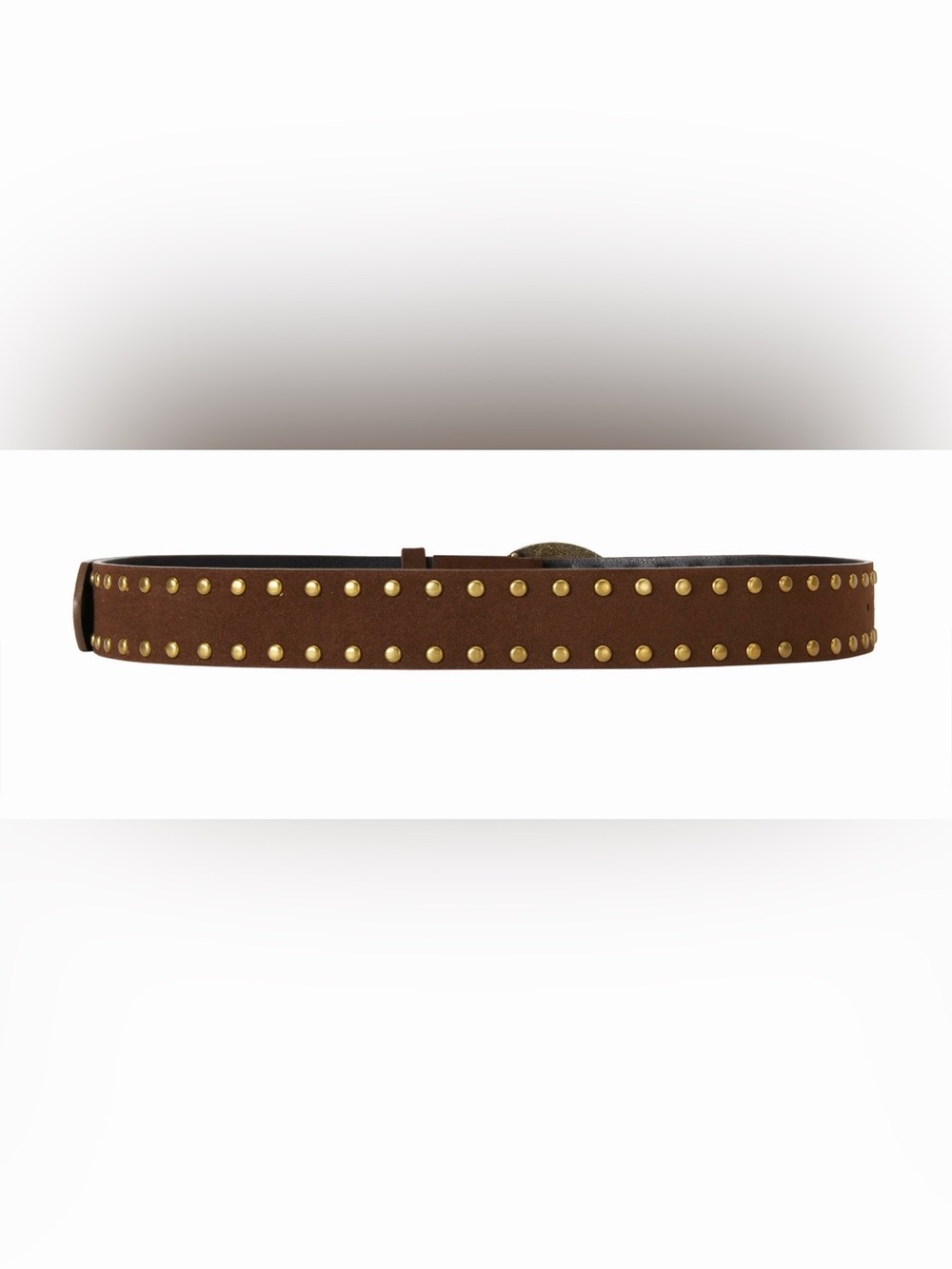 NWT - Cider Studded Fish Belt in Coffee - Picture 2 of 6